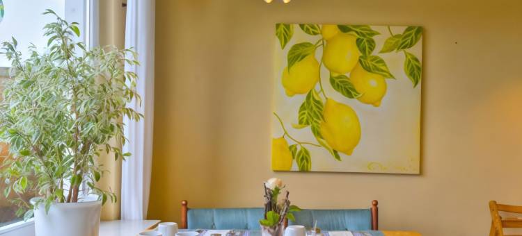 摩尔根斯尼加尼酒店(Hotel Morgensonne Garni)图片