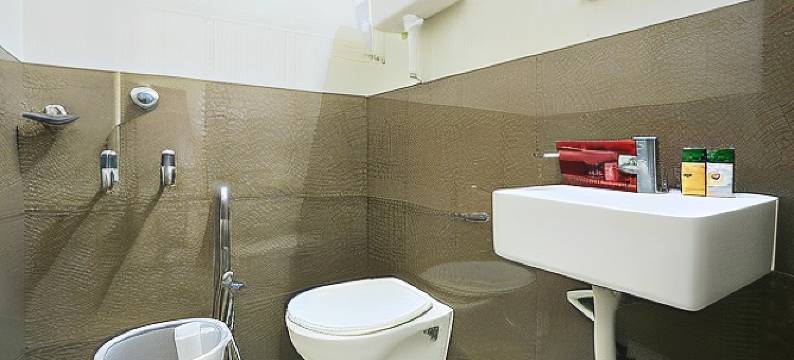 普拉蒂巴传统酒店(Hotel Prathiba Heritage)图片