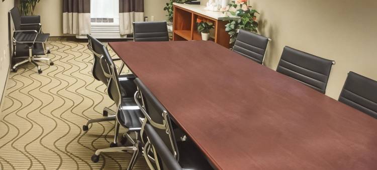 新河舒适酒店(Comfort Inn New River)图片