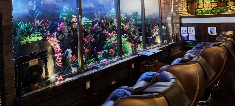 锦系町店 巴厘安度假酒店(仅限成人)(Hotel BaliAn Resort Kinshicho)图片