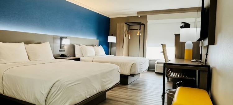 休斯顿I-10西能源走廊舒适套房酒店(Comfort Inn & Suites Houston I-10 West Energy Corridor)图片