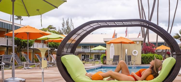 可爱岛海岸酒店(Kauai Shores Hotel)图片