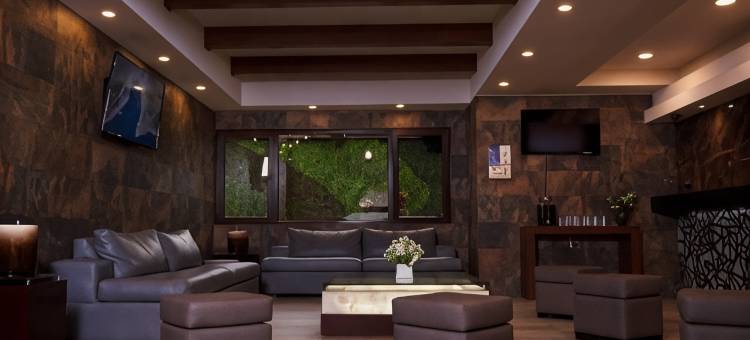 普埃布拉历史中心舒适酒店(Comfort Inn Puebla Centro Histórico)图片