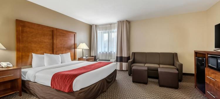 南印第安纳波利斯舒适酒店(Comfort Inn South)图片