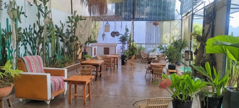 阿米卡杰农场(Amikaje Farm)图片