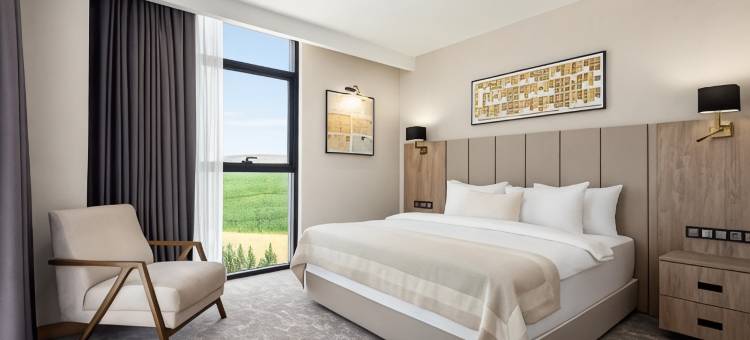 温德姆华美达广场酒店巴特曼(Ramada Plaza by Wyndham Batman)图片