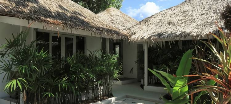 白色小屋(The White Cottage)图片
