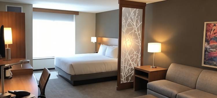 圣乔治凯悦嘉轩酒店-会议中心(Hyatt Place St George/Convention Center)图片