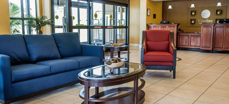 富兰克林东部舒适套房酒店(Comfort Inn & Suites Franklin East)图片