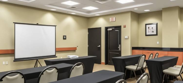 奥兰多南布埃纳维斯塔湖欢朋套房酒店(Hampton Inn & Suites Orlando-South Lake Buena Vista)图片