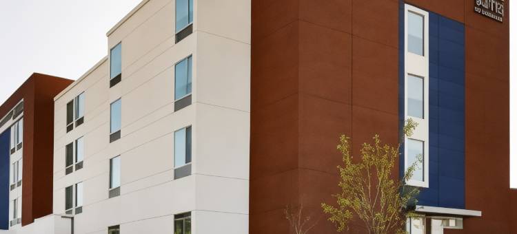 SpringHill Suites Springfield North图片