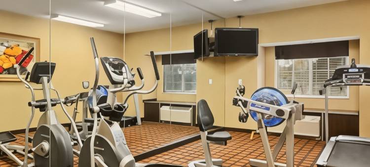 奥索卡温德姆麦客达套房酒店(Microtel Inn & Suites by Wyndham Ozark)图片