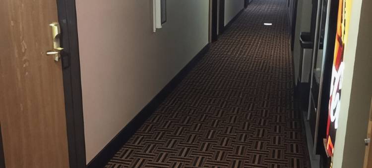 诺克斯维尔速8酒店(Super 8 by Wyndham Knoxville)图片