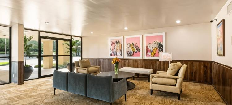 弗朗西斯酒店(Hotel Francis)图片