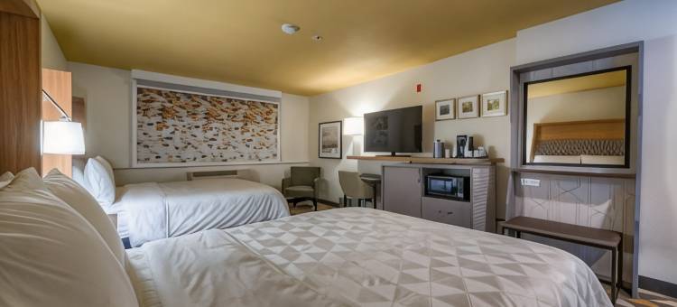 塔科马购物中心假日酒店(Holiday Inn Tacoma Mall)图片