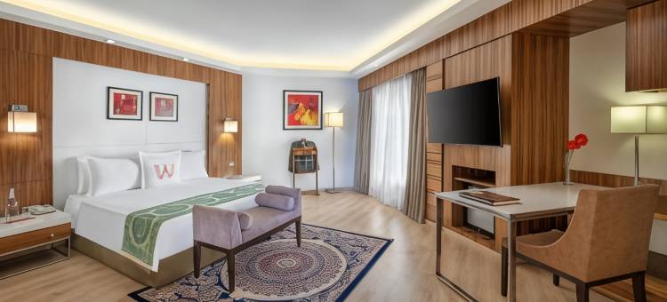 奥兰卡巴拉玛国际迎宾酒店-ITC 酒店集团(Welcomhotel by ITC Hotels, Rama International, Aurangabad)图片