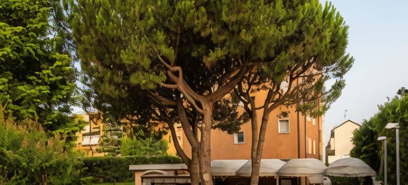 Jet Hotel, Sure Hotel Collection by Best Western图片