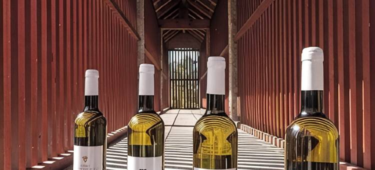 葛梅兹托雷品酒与 SPA 酒店(Torre de Gomariz Wine & Spa Hotel)图片