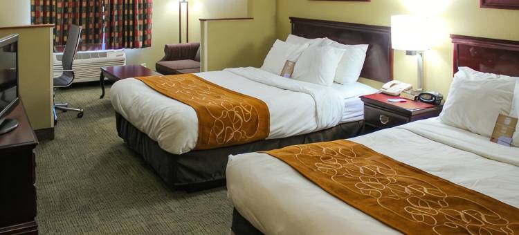 舒适套房酒店 - 近 I-80 及 I-94(Comfort Suites Near I-80 and I-94)图片