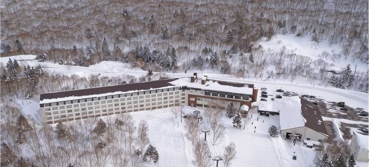 志贺高原王子大酒店(Shigakogen Prince Hotel)图片