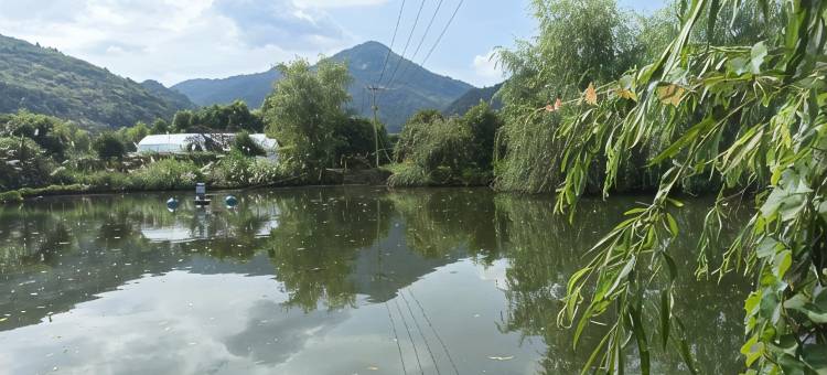 崇阳荒路岭生态农庄图片