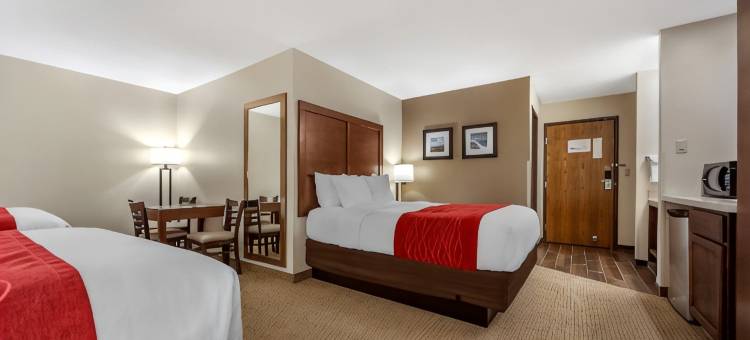 瓦伦廷舒适酒店(Comfort Inn)图片