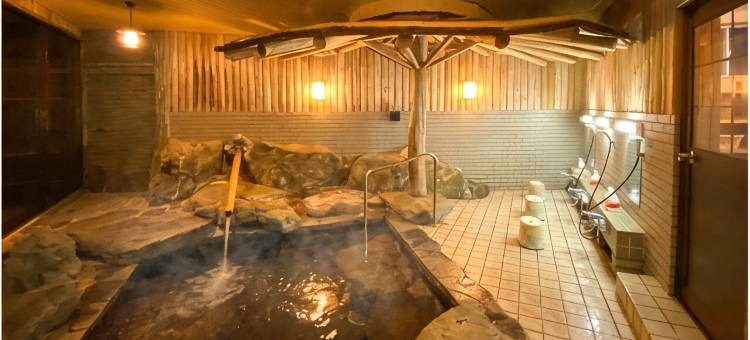 新城观光酒店(Shinshiro Kanko Hotel)图片