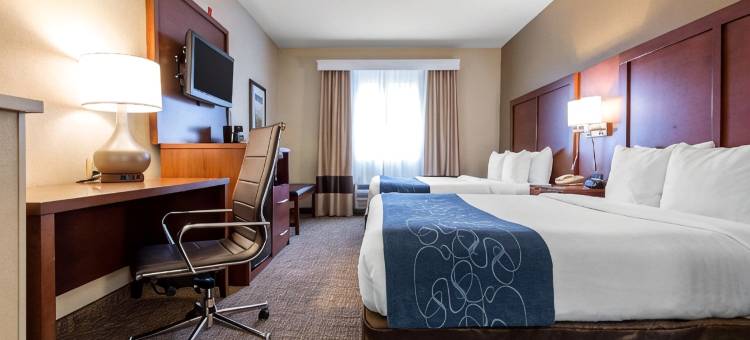 舒适套房酒店罗切斯特亨利埃塔大学区(Comfort Suites Rochester Henrietta University Area)图片