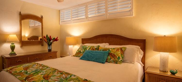 免度假村费及停车费精美海滨一层公寓配有空调.(No Resort or Parking Fees. Beautiful Ocean Front, Ground Level Condo with A/C.)图片
