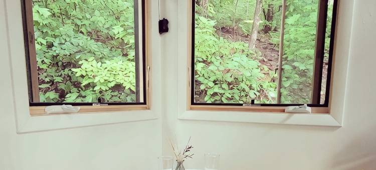 Get back to nature! Unique cabin in the mountains 15 minutes from Asheville N.C.图片