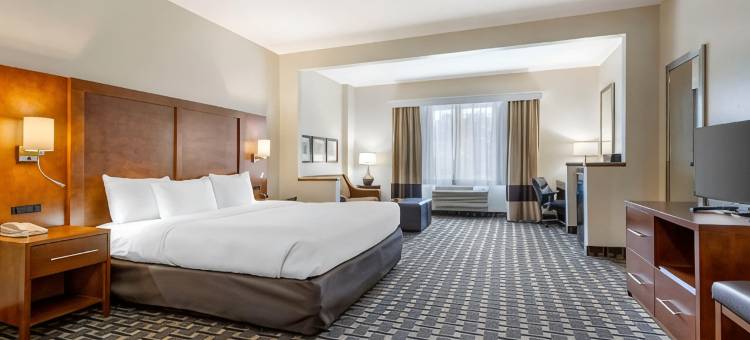 萨默维尔 - 查尔斯顿舒适酒店(Comfort Inn Summerville - Charleston)图片