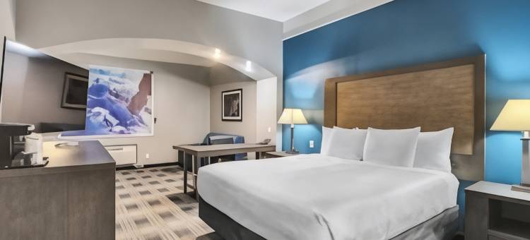 韦伯斯特铂金酒店及套房(Platinum Inn & Suites Webster)图片