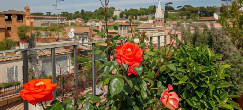 莫扎特酒店(Hotel Mozart)图片