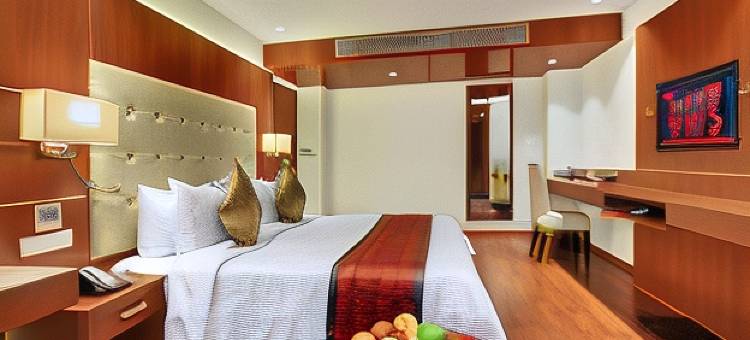 因希斯舒适酒店(Comfort Inn Insys)图片