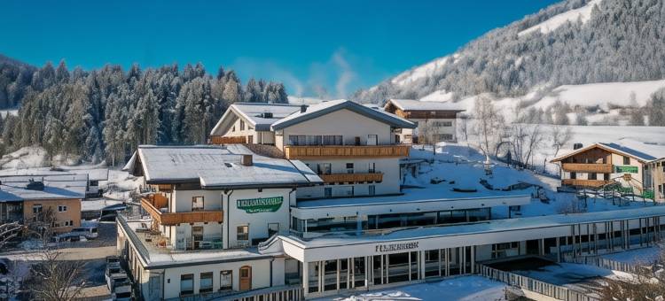 菲尔森夫酒店(Familienhotel Felsenhof)图片