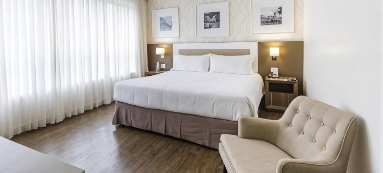 Holiday Inn 贝洛奥里藏特(Holiday Inn Belo Horizonte Savassi)图片