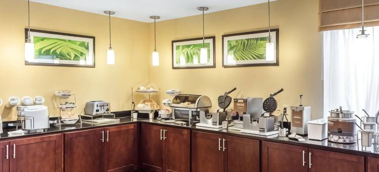 美斯泰套房-匹兹堡机场(MainStay Suites Pittsburgh Airport)图片