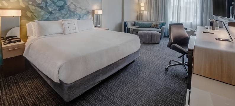 杜勒斯机场赫恩登万怡酒店(Courtyard Dulles Airport Herndon)图片