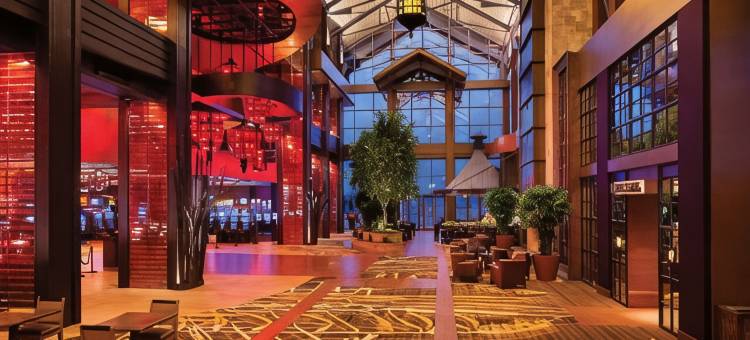 巴吞鲁日奥博格酒店(L'Auberge Baton Rouge)图片