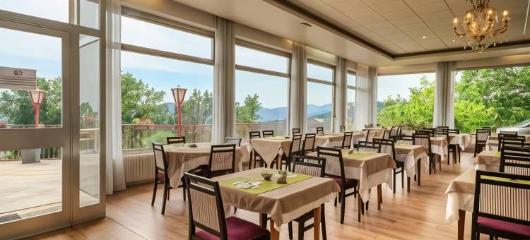 阿勒克桑餐厅及康体中心酒店(Alexain Hotel Restaurant & Wellness - Colmar Ouest)图片