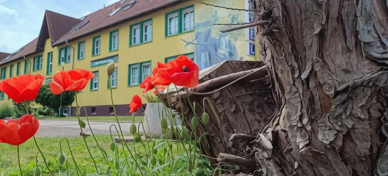 汪德斯勒本酒店(Hotel Wandersleben - Erfurt)图片