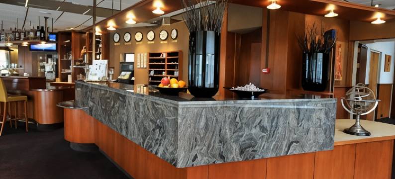 贝亨奥普佐郁金香旅馆(City Hotel Bergen op Zoom)图片