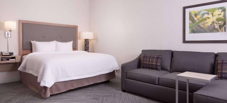 奥古斯塔-华盛顿路欢朋套房酒店(Hampton Inn and Suites Augusta/Washington Road I-20)图片