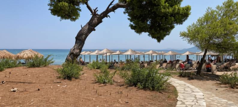 阿罗哈旅馆(Aloha Inn)图片