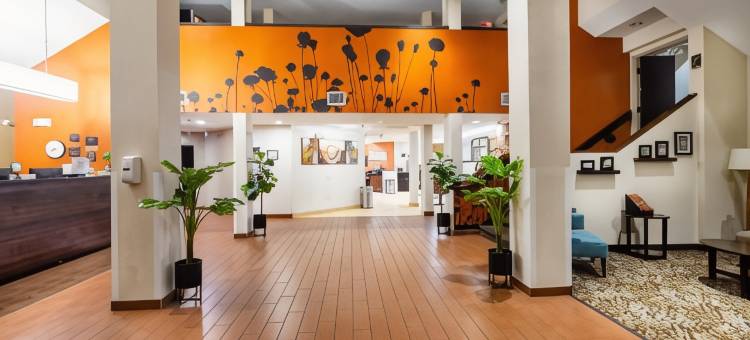 奥蒙德海滩舒眠酒店 - 代托纳(Sleep Inn Ormond Beach - Daytona)图片