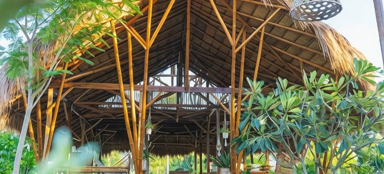 Tongo山丘小屋(Tongo Hill Cottages)图片