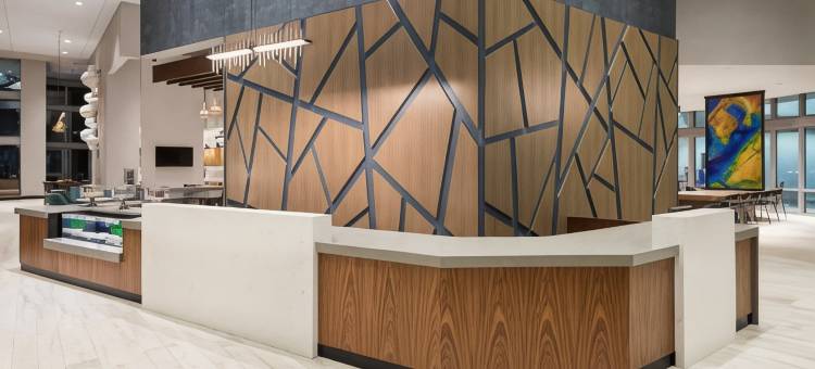 圣彼德斯堡市中心凯悦嘉轩酒店(Hyatt Place St Petersburg/Downtown)图片