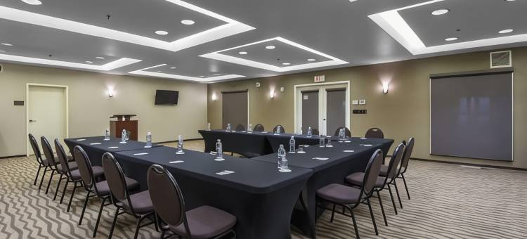 舒适套房酒店(Comfort Suites)图片