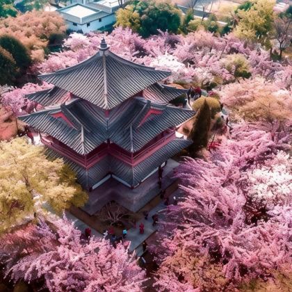 西安4日3晚跟团游