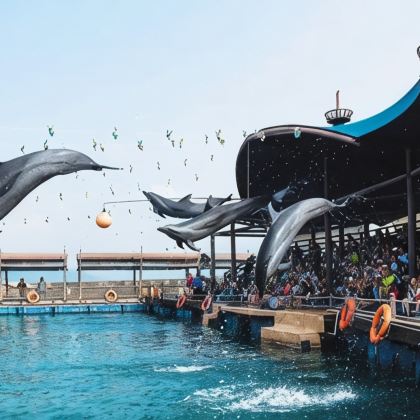 陵水+海南海洋欢乐世界度假区5日4晚私家团